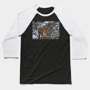 Coyote Baseball T-Shirt